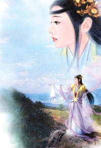 透视小毒医