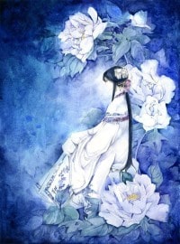 雲想+